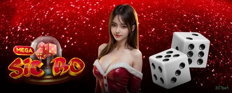 App 337bet para Android e iOS - download grátis